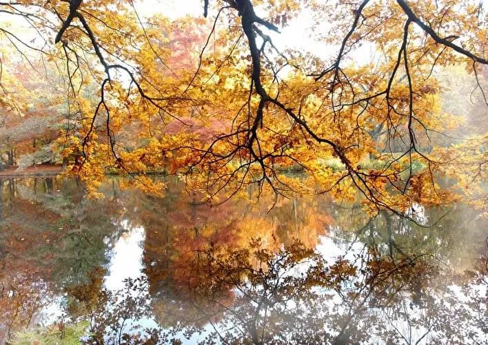 Tiergarten